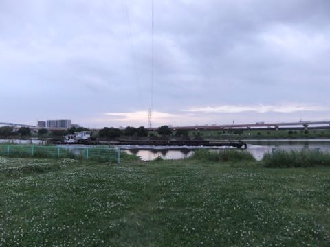 ビションフリーゼフントヒュッテこいぬ画像ビションフリーゼ子犬社会化性格血統チャンピオン犬東京ビションメス関東かわいいビションおとこのこ文京区出産情報ビション募集_777.jpg