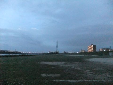 ビションフリーゼフントヒュッテこいぬ画像ビションフリーゼ子犬社会化性格血統チャンピオン犬東京ビションメス関東かわいいビションおとこのこ文京区出産情報ビション募集_797.jpg