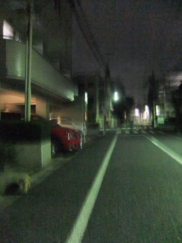 トイ・プードルトリミング文京区トイプードルテディベアカット都内トリミングサロン東京フントヒュッテ駒込トイプーカットスタイルテディベアカット画像_42.jpg