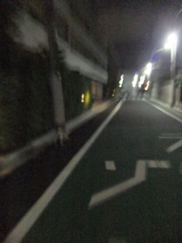 パグトリミング画像フントヒュッテ文京区ペットホテル様子おさんぽ犬おあずかり東京パグ夏短頭種とは鼻ぺちゃ犬パグ性格特徴色Pug_132.jpg