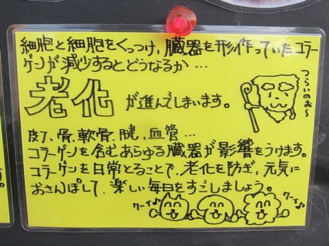 キタガワ犬用おやつフカヒレ画像サメジャーキーサメ肉チップスサメ軟骨コンドロイチン気仙沼産ヨシキリ鮫コラーゲン効果_12.jpg