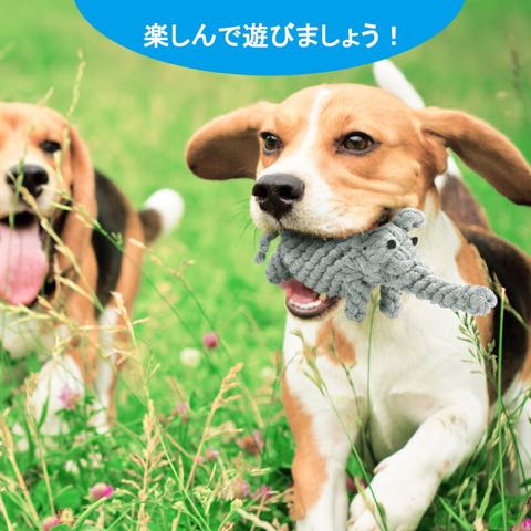 Focuspet犬のおもちゃドッグトイ画像ペットトイロープのおもちゃ丈夫犬噛むぬいぐるみキリンパンダダックあひるぞう象恐竜犬運動不足ストレス解消_5.jpg