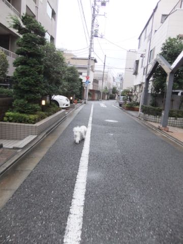 ¥Ó¥·¥ç¥ó¥Õ¥ê¡¼¥¼¥Õ¥ó¥È¥Ò¥å¥Ã¥Æ¤³¤¤¤Ì²èÁü¥Ó¥·¥ç¥ó¥Õ¥ê¡¼¥¼»Ò¸¤¼Ò²ñ²½À³Ê·ìÅý¥Á¥ã¥ó¥Ô¥ª¥ó¸¤Åìµþ¥Ó¥·¥ç¥ó¥á¥¹´ØÅ줫¤ï¤¤¤¤¥Ó¥·¥ç¥ó¤ª¤È¤³¤Î¤³Ê¸µþ¶è½Ð»º¾ðÊó¥Ó¥·¥ç¥óÊ罸_988.jpg