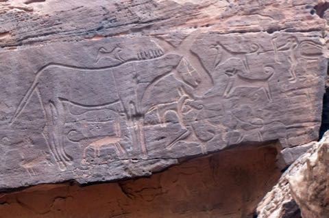 最古の犬の絵か? 狩りやペットの歴史にも一石 サウジアラビアで発見、紀元前5000〜紀元前8000年とも_1