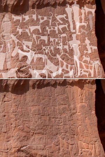 最古の犬の絵か? 狩りやペットの歴史にも一石 サウジアラビアで発見、紀元前5000〜紀元前8000年とも_2