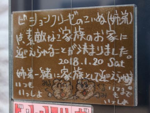 ¥Ó¥·¥ç¥ó¥Õ¥ê¡¼¥¼¤³¤¤¤Ì¾ðÊó¥Õ¥ó¥È¥Ò¥å¥Ã¥Æ¥Ó¥·¥ç¥ó¤³¤¤¤Ì²èÁü»Ò¸¤¤Î¼Ò²ñ²½¥Ó¥·¥ç¥óÀÖ¤Á¤ã¤ó¤ª¤ó¤Ê¤Î¤³¤«¤ï¤¤¤¤¥Ó¥·¥ç¥ó¥Õ¥ê¡¼¥¼¤ª¤È¤³¤Î¤³Åìµþ¥Ó¥·¥ç¥ó½Ð»º¾ðÊóÀ³Ê¥Ó¥·¥ç¥ó²È²Êç½¸Ãæ_1659