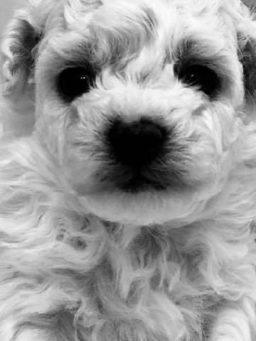 ¥Ó¥·¥ç¥ó¥Õ¥ê¡¼¥¼¤³¤¤¤Ì¾ðÊó¥Õ¥ó¥È¥Ò¥å¥Ã¥Æ¥Ó¥·¥ç¥ó¤³¤¤¤Ì²èÁü»Ò¸¤¤Î¼Ò²ñ²½¥Ó¥·¥ç¥óÀÖ¤Á¤ã¤ó¥¢¥á¥ê¥«¥ó¥Á¥ã¥ó¥Ô¥ª¥óľ»Ò¤«¤ï¤¤¤¤¥Ó¥·¥ç¥ó¥Õ¥ê¡¼¥¼Åìµþ¥Ó¥·¥ç¥ó½Ð»º¾ðÊóÀ³Ê¥Ó¥·¥ç¥ó²È²Êç½¸Ãæ_1