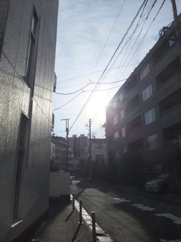 ¥È¥¤¡¦¥×¡¼¥É¥ë¶Ë¾®¥µ¥¤¥º¥Æ¥£¡¼¥«¥Ã¥×¥×¡¼¥É¥ëÅìµþ¥È¥¤¥×¡¼¥É¥ë¥È¥ê¥ß¥ó¥°²èÁü¥Õ¥ó¥È¥Ò¥å¥Ã¥Æ¶ð¹þ¥Ó¥·¥ç¥ó¥Õ¥ê¡¼¥¼¥È¥ê¥ß¥ó¥°Ê¸µþ¶è¥Ú¥Ã¥È¥Û¥Æ¥ëÅÔÆâ_319