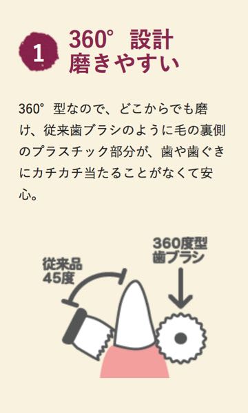 シグワン犬用360°歯ブラシ画像犬の歯磨き歯みがきやり方犬歯垢歯石歯周病歯石除去予防デンタルケア犬東京フントヒュッテ駒込hundehutte文京区犬歯みがきビバテック_f.jpg