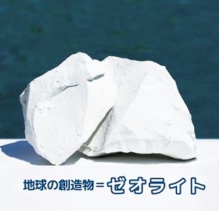 シグワンゼオライトハミガキ歯垢歯石除去効果犬の歯磨き歯周病予防犬のデンタルケア画像犬の歯磨きやり方_12.jpg