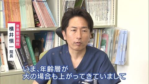 【特集】高まる犬の“輸血”需要 「供血犬」が救う命_3.jpg