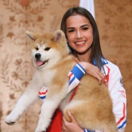 「マサル」で秋田犬バブル 観光客殺到、ぬいぐるみ品切れ_1.jpg
