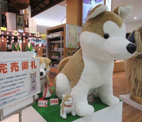「マサル」で秋田犬バブル 観光客殺到、ぬいぐるみ品切れ_3.jpg