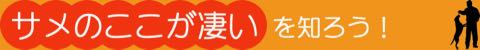 BokBokボクボク犬用おやつ無添加無着色サメ効果グルコサミンコンドロイチンコラーゲンカルシウム関節皮膚鮫画像_5.jpg