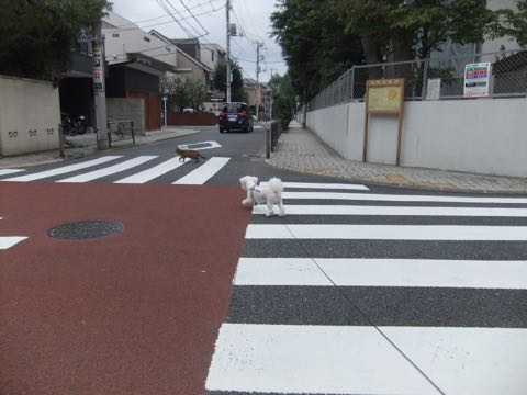 ¥Ó¥·¥ç¥ó¥Õ¥ê¡¼¥¼¥È¥ê¥ß¥ó¥°¥Õ¥ó¥È¥Ò¥å¥Ã¥Æ¥Ó¥·¥ç¥ó¥«¥Ã¥È¥¹¥¿¥¤¥ë¥â¥Ç¥ë¸¤²èÁü¥Ó¥·¥ç¥ó¥Õ¥ê¡¼¥¼¥È¥ê¥ß¥ó¥°¥µ¥í¥óÅìµþ¥Ó¥·¥ç¥óhundehutte¥Ó¥·¥ç¥ó¥Ù¥¢¥«¥Ã¥È_145.jpg