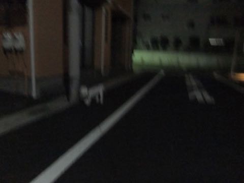¥Ó¥·¥ç¥ó¥Õ¥ê¡¼¥¼¥È¥ê¥ß¥ó¥°¥Õ¥ó¥È¥Ò¥å¥Ã¥Æ¥Ó¥·¥ç¥ó¥«¥Ã¥È¥¹¥¿¥¤¥ë¥â¥Ç¥ë¸¤²èÁü¥Ó¥·¥ç¥ó¥Õ¥ê¡¼¥¼¥È¥ê¥ß¥ó¥°¥µ¥í¥óÅìµþ¥Ó¥·¥ç¥óhundehutte¥Ó¥·¥ç¥ó¥Ù¥¢¥«¥Ã¥È_161.jpg