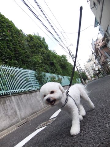 ¥Ó¥·¥ç¥ó¥Õ¥ê¡¼¥¼¥È¥ê¥ß¥ó¥°¥Õ¥ó¥È¥Ò¥å¥Ã¥Æ¥Ó¥·¥ç¥ó¥«¥Ã¥È¥¹¥¿¥¤¥ë¥â¥Ç¥ë¸¤²èÁü¥Ó¥·¥ç¥ó¥Õ¥ê¡¼¥¼¥È¥ê¥ß¥ó¥°¥µ¥í¥óÅìµþ¥Ó¥·¥ç¥óhundehutte¥Ó¥·¥ç¥ó¥Ù¥¢¥«¥Ã¥È_169.jpg