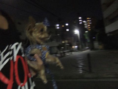 ¥Ó¥·¥ç¥ó¥Õ¥ê¡¼¥¼¥È¥ê¥ß¥ó¥°Ê¸µþ¶è¥Õ¥ó¥È¥Ò¥å¥Ã¥Æ¶ð¹þ¥Ó¥·¥ç¥ó¥Õ¥ê¡¼¥¼¤Þ¤ë¤¯¥«¥Ã¥È¥È¥ê¥ß¥ó¥°¥µ¥í¥ó²èÁü¥Ó¥·¥ç¥ó¥Õ¥ê¡¼¥¼Â礤¯´Ý¤¤Æ¬²èÁü¥Ó¥·¥ç¥óÌÓÎÌÅìµþ_416.jpg
