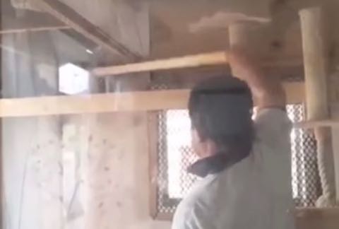 保護猫に“百叩きの刑”・元妻を殴る蹴るは当たり前、動物保護団体理事長の鬼畜な素顔1.jpg