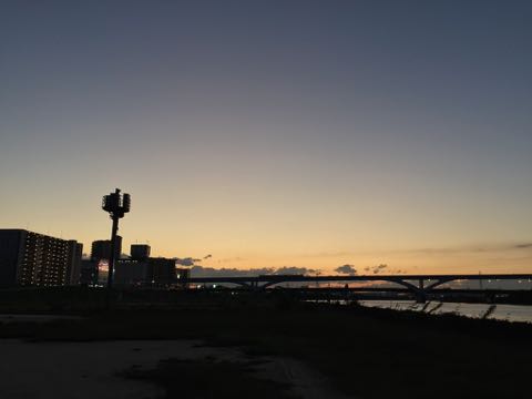 ウェルシュ・コーギー・ペンブロークこいぬ情報フントヒュッテウェルシュコーギーペンブローク子犬画像コーギーしっぽ付き尻尾付きしっぽつき断尾していないコーギー出産情報性格子犬の社会化コーギー家族募集中 Welsh Corgi Pembroke _ 849.jpg