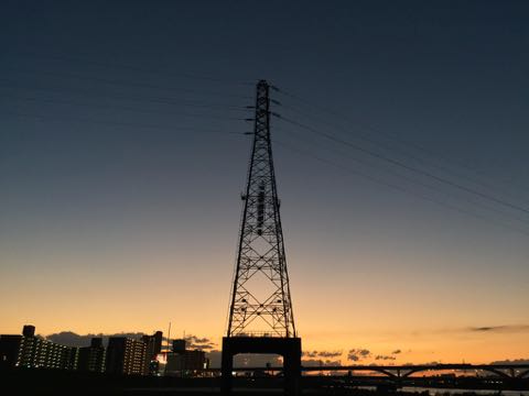 ウェルシュ・コーギー・ペンブロークこいぬ情報フントヒュッテウェルシュコーギーペンブローク子犬画像コーギーしっぽ付き尻尾付きしっぽつき断尾していないコーギー出産情報性格子犬の社会化コーギー家族募集中 Welsh Corgi Pembroke _ 853.jpg