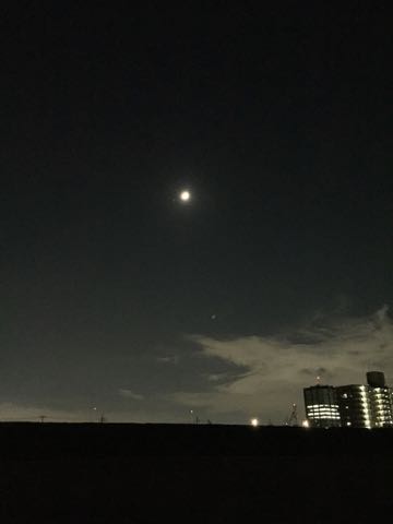 ウェルシュ・コーギー・ペンブロークこいぬ情報フントヒュッテウェルシュコーギーペンブローク子犬画像コーギーしっぽ付き尻尾付きしっぽつき断尾していないコーギー出産情報性格子犬の社会化コーギー家族募集中 Welsh Corgi Pembroke _ 1198.jpg