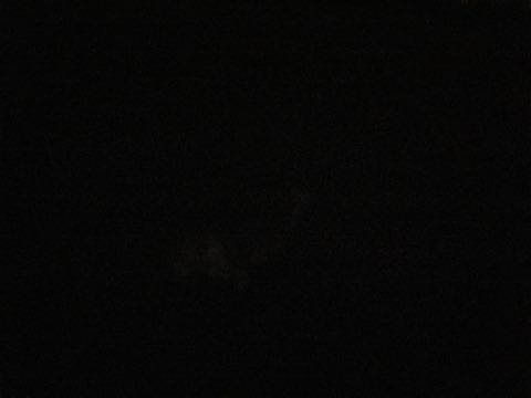 ウェルシュ・コーギー・ペンブロークこいぬ情報フントヒュッテウェルシュコーギーペンブローク子犬画像コーギーしっぽ付き尻尾付きしっぽつき断尾していないコーギー出産情報性格子犬の社会化コーギー家族募集中 Welsh Corgi Pembroke _ 1203.jpg