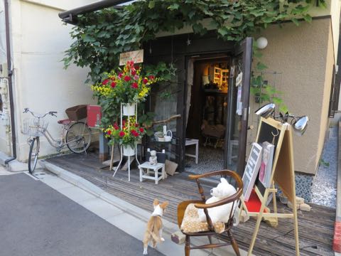 ウェルシュ・コーギー・ペンブロークこいぬ情報フントヒュッテウェルシュコーギーペンブローク子犬画像コーギーしっぽ付き尻尾付きしっぽつき断尾していないコーギー出産情報性格子犬の社会化コーギー家族募集中 Welsh Corgi Pembroke _ 1271.jpg