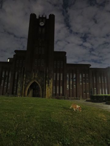 ウェルシュ・コーギー・ペンブロークこいぬ情報フントヒュッテウェルシュコーギーペンブローク子犬画像コーギーしっぽ付き尻尾付きしっぽつき断尾していないコーギー出産情報性格子犬の社会化コーギー家族募集中 Welsh Corgi Pembroke _ 1561.jpg