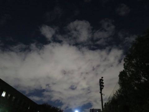 ウェルシュ・コーギー・ペンブロークこいぬ情報フントヒュッテウェルシュコーギーペンブローク子犬画像コーギーしっぽ付き尻尾付きしっぽつき断尾していないコーギー出産情報性格子犬の社会化コーギー家族募集中 Welsh Corgi Pembroke _ 1569.jpg