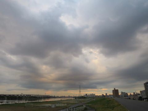 ウェルシュ・コーギー・ペンブロークこいぬ情報フントヒュッテウェルシュコーギーペンブローク子犬画像コーギーしっぽ付き尻尾付きしっぽつき断尾していないコーギー出産情報性格子犬の社会化コーギー家族募集中 Welsh Corgi Pembroke _ 1583.jpg