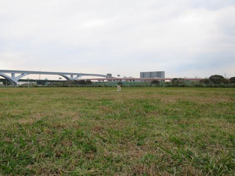 ウェルシュ・コーギー・ペンブロークこいぬ情報フントヒュッテウェルシュコーギーペンブローク子犬画像コーギーしっぽ付き尻尾付きしっぽつき断尾していないコーギー出産情報性格子犬の社会化コーギー家族募集中 Welsh Corgi Pembroke _ 1590.jpg