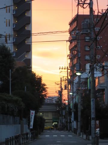 ¥¦¥§¥ë¥·¥å¡¦¥³¡¼¥®¡¼¡¦¥Ú¥ó¥Ö¥í¡¼¥¯¤³¤¤¤Ì¾ðÊó¥Õ¥ó¥È¥Ò¥å¥Ã¥Æ¥¦¥§¥ë¥·¥å¥³¡¼¥®¡¼¥Ú¥ó¥Ö¥í¡¼¥¯»Ò¸¤²èÁü¥³¡¼¥®¡¼¤·¤Ã¤ÝÉÕ¤¿¬ÈøÉÕ¤¤·¤Ã¤Ý¤Ä¤ÃÇÈø¤·¤Æ¤¤¤Ê¤¤¥³¡¼¥®¡¼½Ð»º¾ðÊóÀ³Ê»Ò¸¤¤Î¼Ò²ñ²½¥³¡¼¥®¡¼²È²Êç½¸Ãæ Welsh Corgi Pembroke _ 1815.jpg