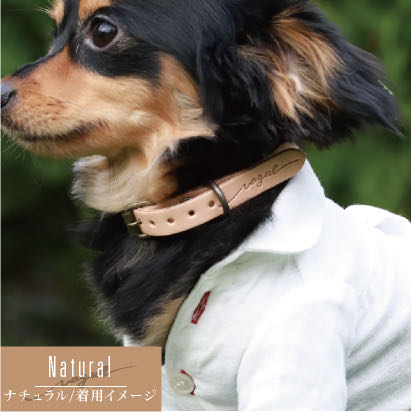 Vague 首輪&リードセット Cowskin SET カウスキンセット 犬用品 国産 日本製 ヌメ革 牛革 MADE IN TOKYO 国内縫製工場 革製品 国内レザー工房 職人さん 手作り 販売 東京 フントヒュッテ 4.jpg