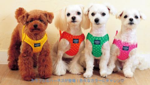 LAMZY ソフトフェザーハーネス 画像 ラムジー フェザー ハーネス 気管支への負担軽減 気管支炎 気管虚脱 犬 人気 ハーネス 販売 フントヒュッテ 東京 1.jpg