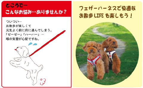 LAMZY ソフトフェザーハーネス 画像 ラムジー フェザー ハーネス 気管支への負担軽減 気管支炎 気管虚脱 犬 人気 ハーネス 販売 フントヒュッテ 東京 3.jpg