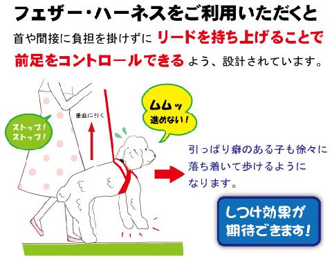 LAMZY ソフトフェザーハーネス 画像 ラムジー フェザー ハーネス 気管支への負担軽減 気管支炎 気管虚脱 犬 人気 ハーネス 販売 フントヒュッテ 東京 4.jpg
