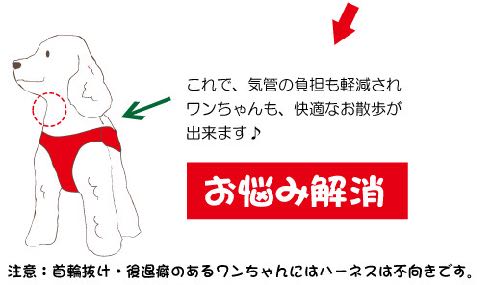 LAMZY ソフトフェザーハーネス 画像 ラムジー フェザー ハーネス 気管支への負担軽減 気管支炎 気管虚脱 犬 人気 ハーネス 販売 フントヒュッテ 東京 5.jpg