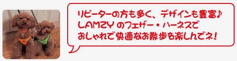 LAMZY ソフトフェザーハーネス 画像 ラムジー フェザー ハーネス 気管支への負担軽減 気管支炎 気管虚脱 犬 人気 ハーネス 販売 フントヒュッテ 東京 7.jpg