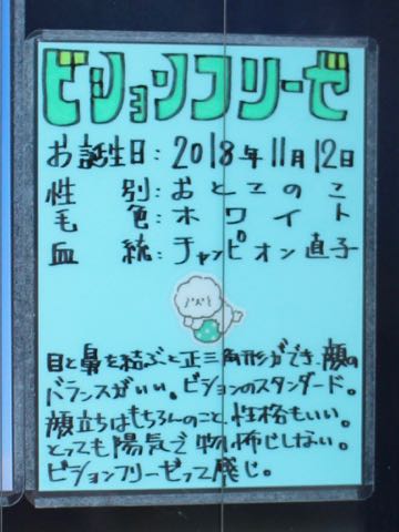 ¥Ó¥·¥ç¥ó¥Õ¥ê¡¼¥¼¤³¤¤¤Ì¾ðÊó¥Õ¥ó¥È¥Ò¥å¥Ã¥Æ¥Ó¥·¥ç¥óÀ³Ê¤É¤³¤Ç¤³¤¤¤Ì²èÁü»Ò¸¤¤Î¼Ò²ñ²½¥Ó¥·¥ç¥óÀÖ¤Á¤ã¤ó¥Á¥ã¥ó¥Ô¥ª¥óľ»Ò¤«¤ï¤¤¤¤¥Ó¥·¥ç¥ó¥Õ¥ê¡¼¥¼Åìµþ¥Ó¥·¥ç¥ó½Ð»º¾ðÊóÀ³Ê¥Ó¥·¥ç¥ó²È²Êç½¸Ãæ_160.jpg