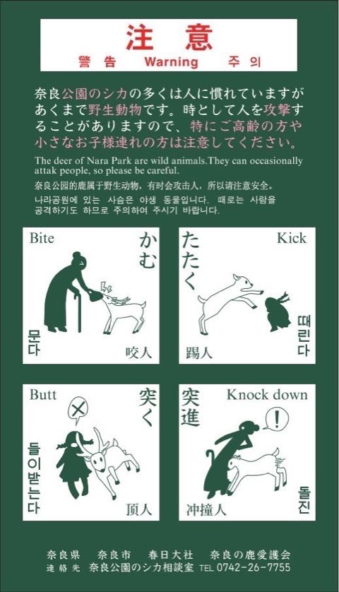 奈良公園のシカによるけが人が過去最悪 2018年度、奈良公園のシカで200人以上が負傷 けが理由の6割以上が「鹿せんべい」での餌付け 7.jpg