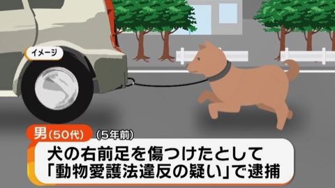 “車に乗りながら犬を散歩”動画に批判殺到…考えたい高齢者のペット飼育 _ 2.jpg
