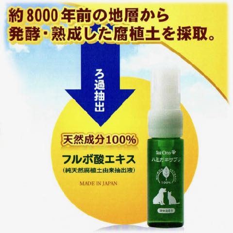 ハミガキサプリ VIVATEC ビバテック 犬の歯みがきグッズ 東京 フントヒュッテ 文京区 トリミングサロン 犬デンタルケア やり方 犬の歯磨き 悩み 犬歯垢歯石除去 駒込 _ 4.jpg