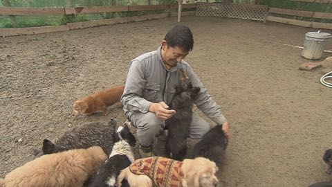 【特集】老人ならぬ「老犬ホーム」に密着! ペットも高齢化で“ムダ吠え”“認知症”も _ 1.jpg