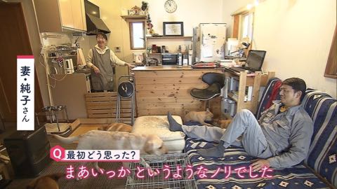 【特集】老人ならぬ「老犬ホーム」に密着! ペットも高齢化で“ムダ吠え”“認知症”も _ 3.jpg
