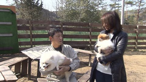 【特集】老人ならぬ「老犬ホーム」に密着! ペットも高齢化で“ムダ吠え”“認知症”も _ 4.jpg
