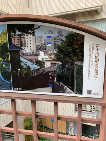 ビションフリーゼこいぬ情報フントヒュッテビション性格おとなしいセラピードッグ育成飼いやすい犬とはどこでこいぬ画像子犬の社会化ビション赤ちゃんかわいいビションフリーゼ東京ビション出産情報性格ビション家族募集中_479.jpg