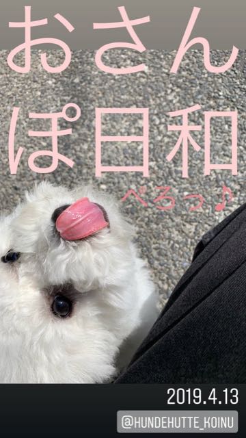 ¥Ó¥·¥ç¥ó¥Õ¥ê¡¼¥¼¤³¤¤¤Ì¾ðÊó¥Õ¥ó¥È¥Ò¥å¥Ã¥Æ¥Ó¥·¥ç¥óÀ³Ê¤ª¤È¤Ê¤·¤¤¥»¥é¥Ô¡¼¥É¥Ã¥°°éÀ®»ô¤¤¤ä¤¹¤¤¸¤¤È¤Ï¤É¤³¤Ç¤³¤¤¤Ì²èÁü»Ò¸¤¤Î¼Ò²ñ²½¥Ó¥·¥ç¥óÀÖ¤Á¤ã¤ó¤«¤ï¤¤¤¤¥Ó¥·¥ç¥ó¥Õ¥ê¡¼¥¼Åìµþ¥Ó¥·¥ç¥ó½Ð»º¾ðÊóÀ³Ê¥Ó¥·¥ç¥ó²È²Êç½¸Ãæ_486.jpg