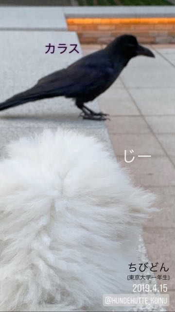 ¥Ó¥·¥ç¥ó¥Õ¥ê¡¼¥¼¤³¤¤¤Ì¾ðÊó¥Õ¥ó¥È¥Ò¥å¥Ã¥Æ¥Ó¥·¥ç¥óÀ³Ê¤ª¤È¤Ê¤·¤¤¥»¥é¥Ô¡¼¥É¥Ã¥°°éÀ®»ô¤¤¤ä¤¹¤¤¸¤¤È¤Ï¤É¤³¤Ç¤³¤¤¤Ì²èÁü»Ò¸¤¤Î¼Ò²ñ²½¥Ó¥·¥ç¥óÀÖ¤Á¤ã¤ó¤«¤ï¤¤¤¤¥Ó¥·¥ç¥ó¥Õ¥ê¡¼¥¼Åìµþ¥Ó¥·¥ç¥ó½Ð»º¾ðÊóÀ³Ê¥Ó¥·¥ç¥ó²È²Êç½¸Ãæ_503.jpg