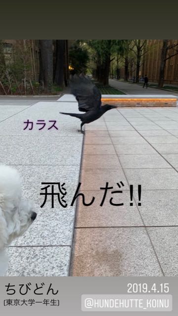 ¥Ó¥·¥ç¥ó¥Õ¥ê¡¼¥¼¤³¤¤¤Ì¾ðÊó¥Õ¥ó¥È¥Ò¥å¥Ã¥Æ¥Ó¥·¥ç¥óÀ³Ê¤ª¤È¤Ê¤·¤¤¥»¥é¥Ô¡¼¥É¥Ã¥°°éÀ®»ô¤¤¤ä¤¹¤¤¸¤¤È¤Ï¤É¤³¤Ç¤³¤¤¤Ì²èÁü»Ò¸¤¤Î¼Ò²ñ²½¥Ó¥·¥ç¥óÀÖ¤Á¤ã¤ó¤«¤ï¤¤¤¤¥Ó¥·¥ç¥ó¥Õ¥ê¡¼¥¼Åìµþ¥Ó¥·¥ç¥ó½Ð»º¾ðÊóÀ³Ê¥Ó¥·¥ç¥ó²È²Êç½¸Ãæ_505.jpg